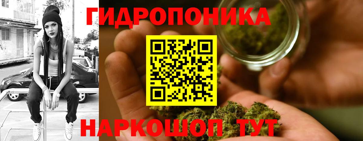 Бошки Шишки Bruce Banner Екатеринбург